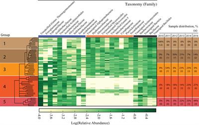 Soil Microbiome Dynamics During Pyritic Mine Tailing Phytostabilization: Understanding Microbial Bioindicators of Soil Acidification